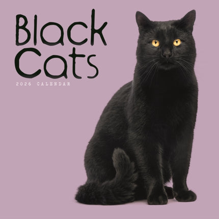 Black Cats Square Wall Calendar 2026