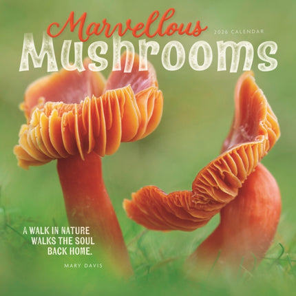 Marvellous Mushrooms Square Wall Calenda