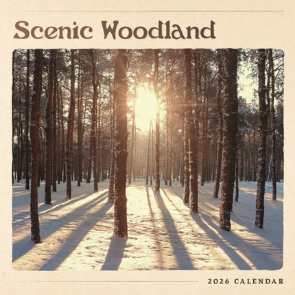 Scenic Woodland Square Wall Calendar 202