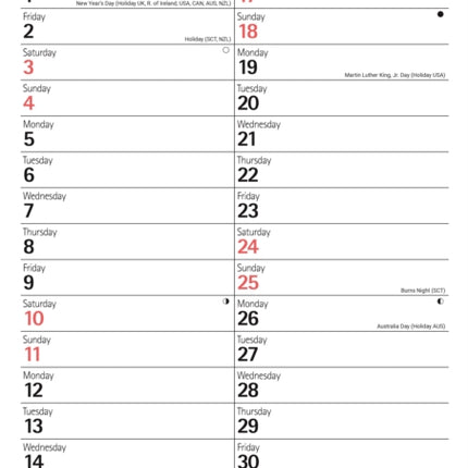 Red Black Large Engagement Planner A3 Ca