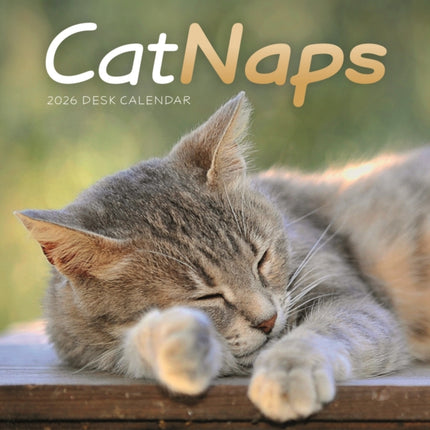 Cat Naps Easel Desk Calendar 2026