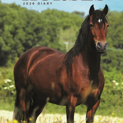 Horses A5 Diary 2026