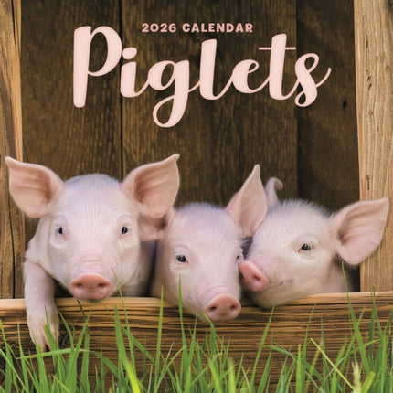 2026 Piglets Mini Wall Calendar