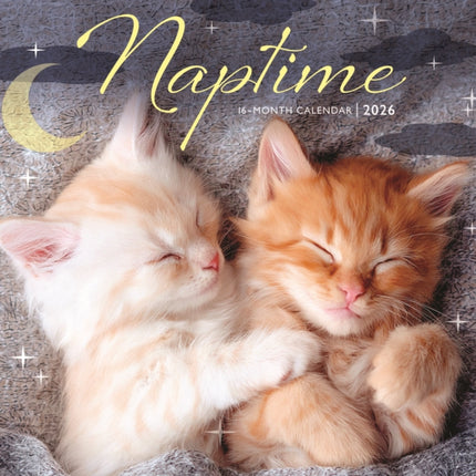 2026 Naptime Mini Wall Calendar