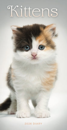 2026 Kittens Slim Diary Planner