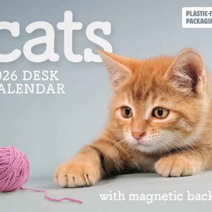 2026 Cats Mini Box Calendar