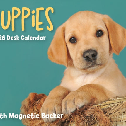 2026 Puppies Mini Box Calendar
