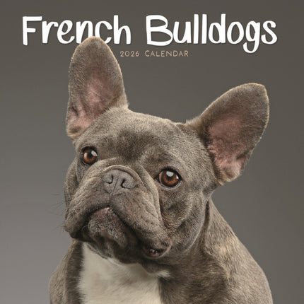 French Bulldogs Square Mini Calendar 202
