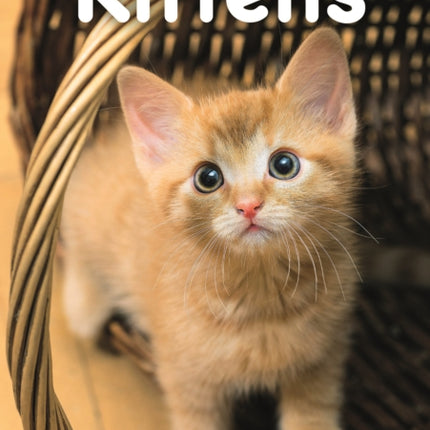 2026 Kittens Engagement Diary