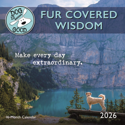 Dog Is Good Fur Covered Wisdom Square Mi