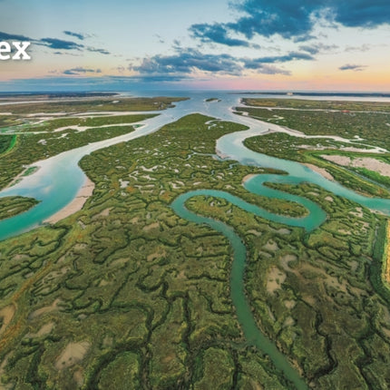 Essex A4 Calendar 2026