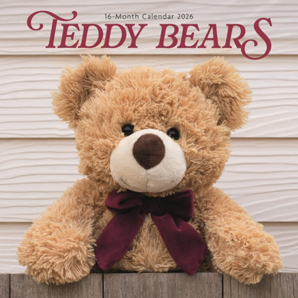 Teddy Bears Square Wall Sunday Start Cal