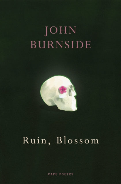 Ruin Blossom