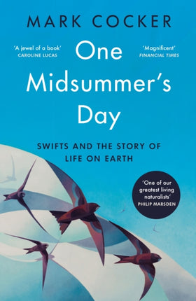 One Midsummers Day