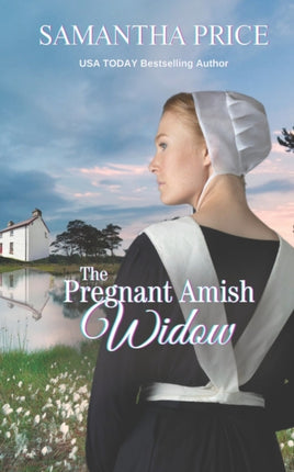 The Pregnant Amish Widow