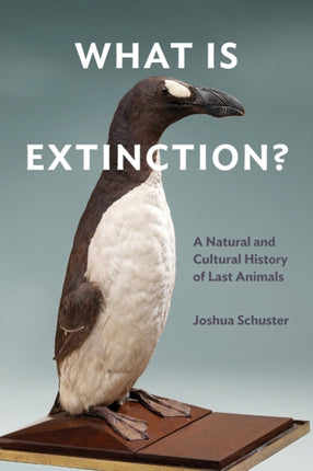 What Is Extinction?: A Natural and Cultural History of Last Animals