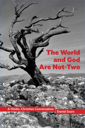 The World and God Are Not-Two: A Hindu–Christian Conversation