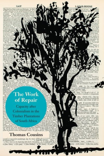 The Work of Repair: Capacity after Colonialism in the Timber Plantations of South Africa