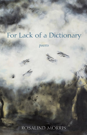 For Lack of a Dictionary