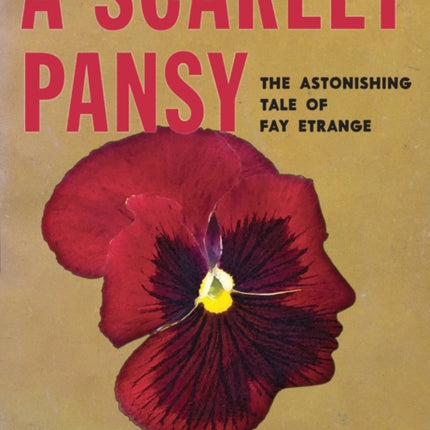 A Scarlet Pansy