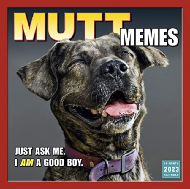 MUTT MEMES