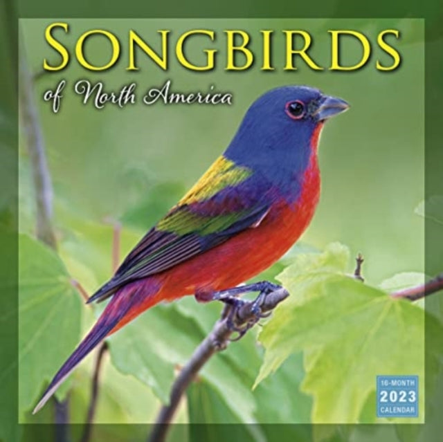 SONGBIRDS OF NORTH AMERICA