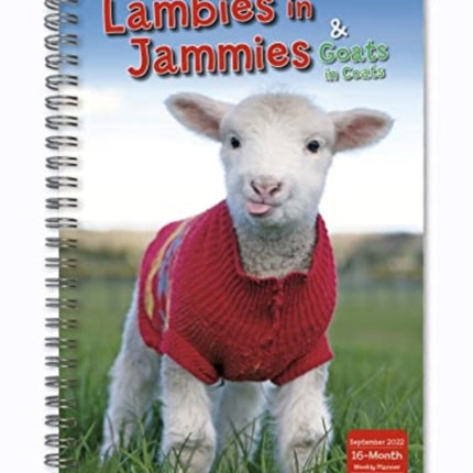 LAMBIES IN JAMMIES GOATS IN COATS