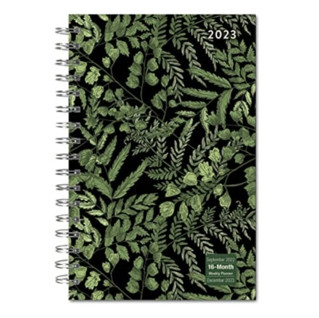 DESIGNER FANCY FERNS