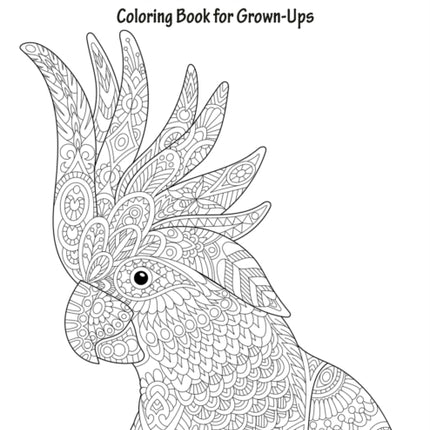 Parrots Coloring Book for Grown-Ups 1