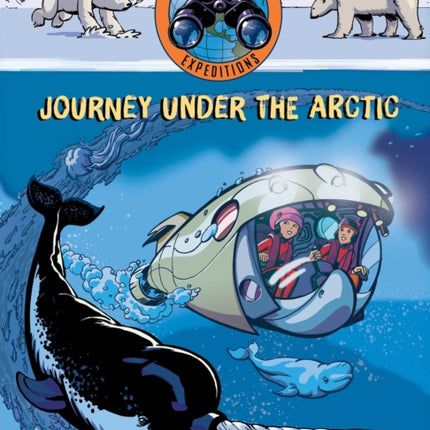 Journey under the Arctic