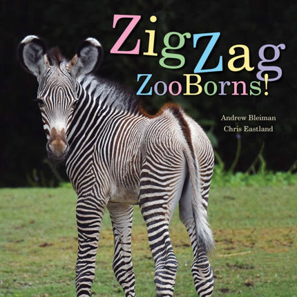 ZigZag ZooBorns!: Zoo Baby Colors and Patterns