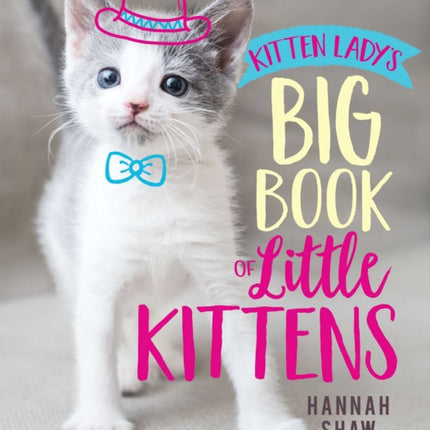 Kitten Lady's Big Book of Little Kittens