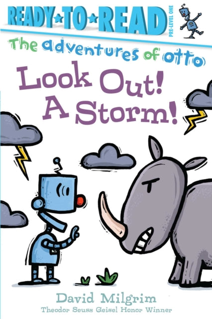 Look Out! A Storm!: Ready-to-Read Pre-Level 1