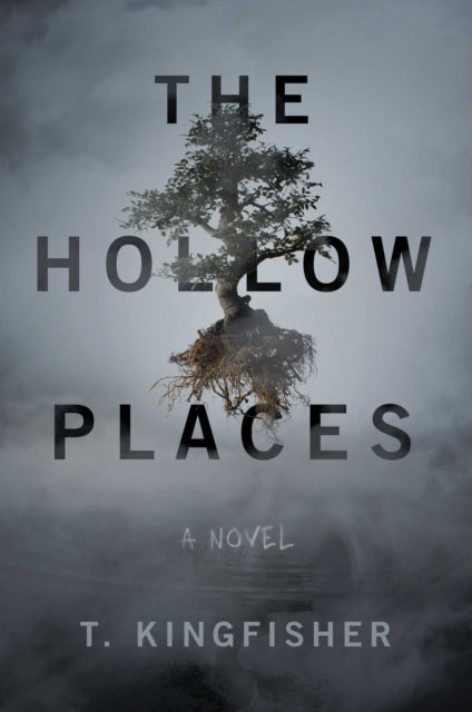 The Hollow Places