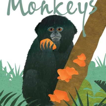 Fourteen Monkeys: A Rain Forest Rhyme