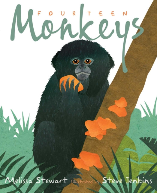 Fourteen Monkeys: A Rain Forest Rhyme