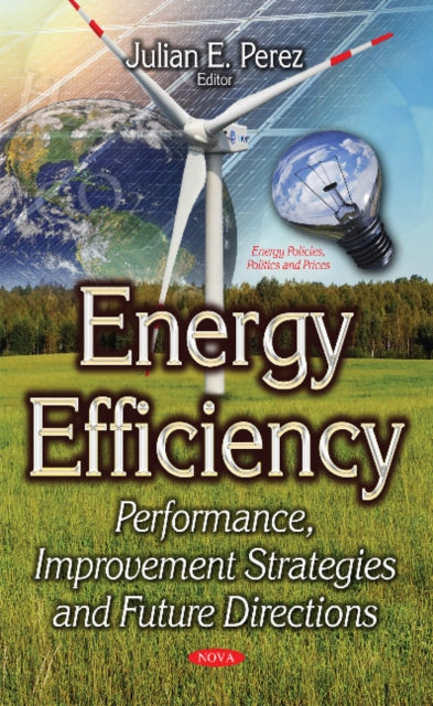 Energy Efficiency: Performance, Improvement Strategies & Future Directions