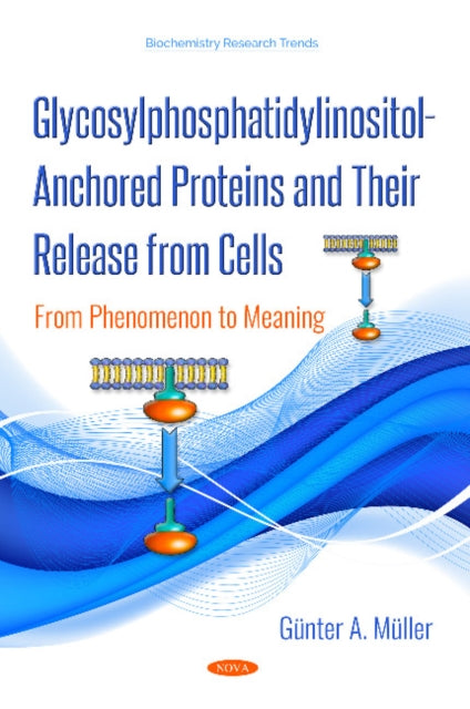 Glycosylphosphatidylinositol-Anchored Proteins and Their Release from Cells: From Phenomenon to Meaning