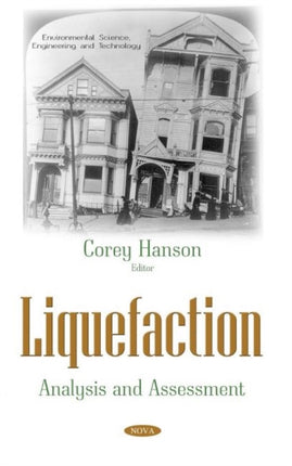 Liquefaction: Analysis and Assessment
