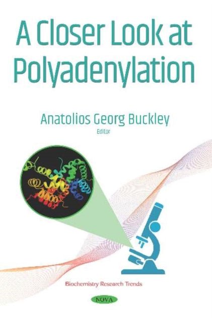 A Closer Look at Polyadenylation