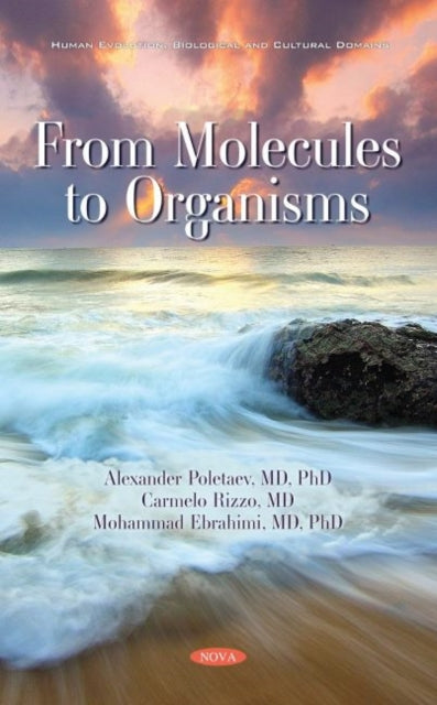 From Molecules to Organisms