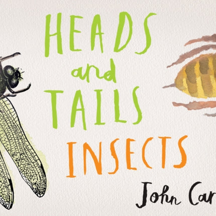 Heads and Tails: Insects