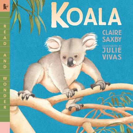 Koala