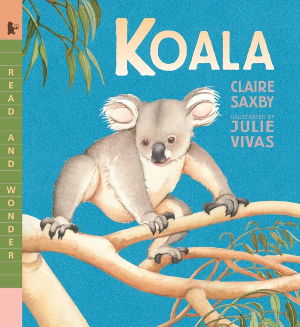 Koala