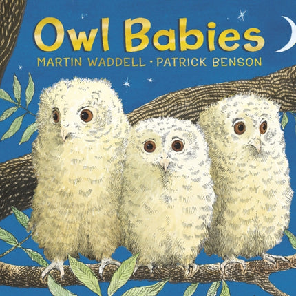 Owl Babies: Padded Board Book