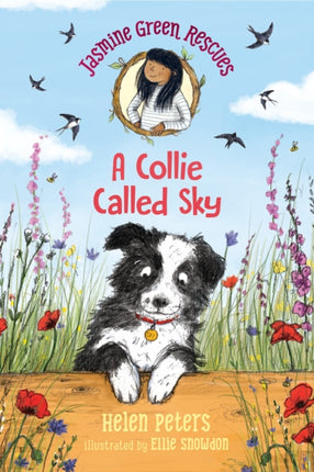 Jasmine Green Rescues A Collie Called Sky