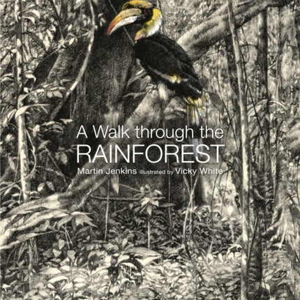 A Walk Through the Rain Forest