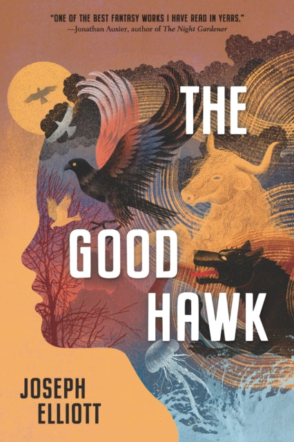 The Good Hawk (Shadow Skye, Book One)