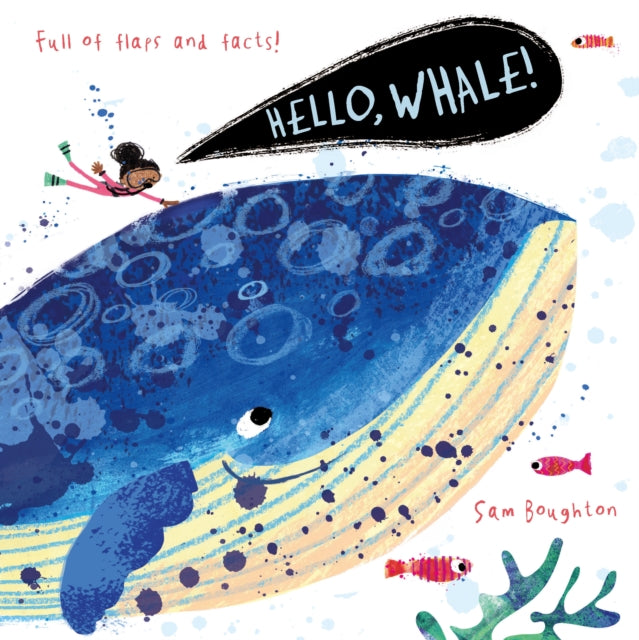 Hello Whale Animal Facts and Flaps