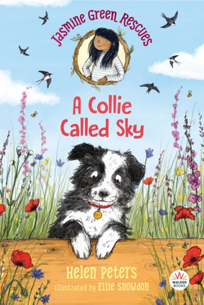 Jasmine Green Rescues A Collie Called Sky